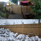 Tonkin Bamboo Fencing - Bamboo Toronto Store