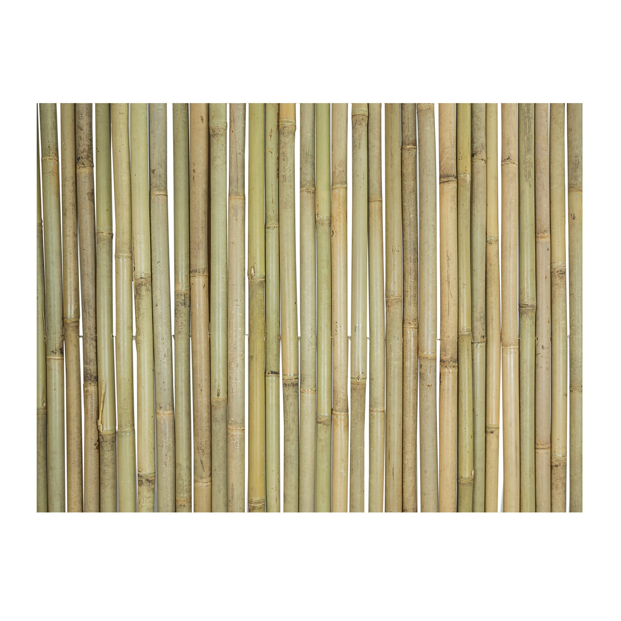 Chain Link Fence Privacy – Bamboo Toronto Store