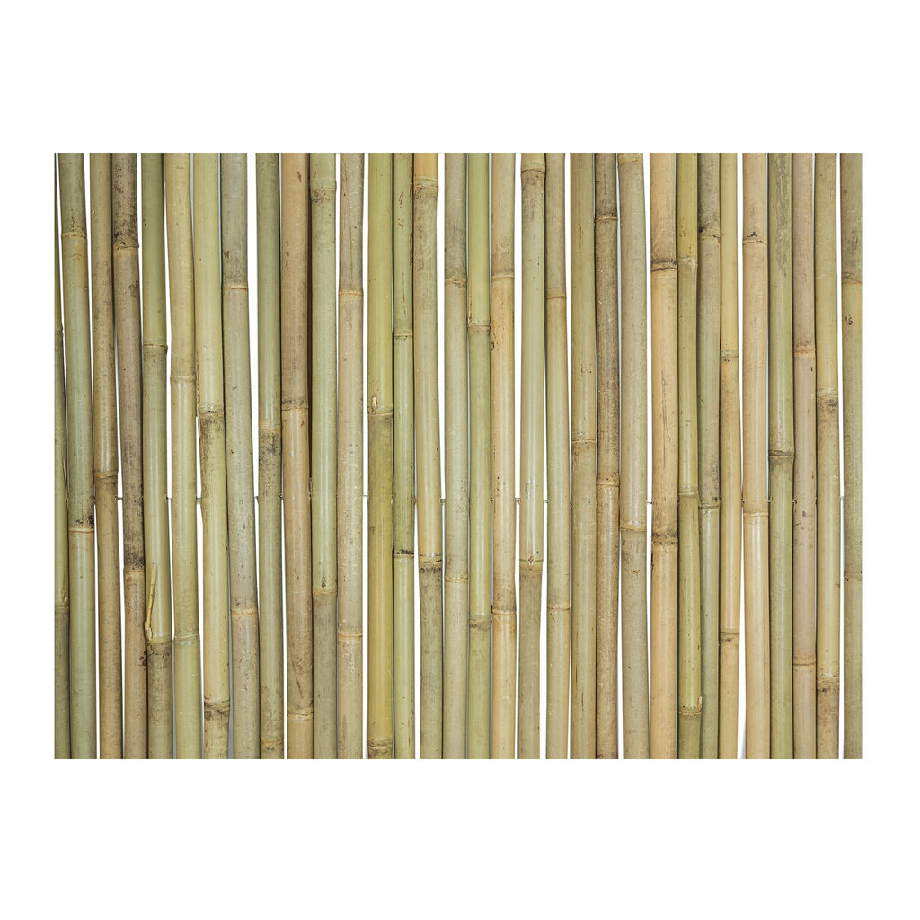 Tonkin Bamboo Fencing - Bamboo Toronto Store