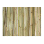 Tonkin Bamboo Fencing - Bamboo Toronto Store