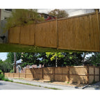 Tonkin Bamboo Fencing - Bamboo Toronto Store