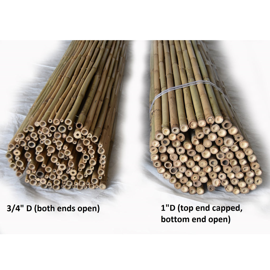 Tonkin Bamboo Fencing - Bamboo Toronto Store