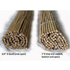 Tonkin Bamboo Fencing - Bamboo Toronto Store