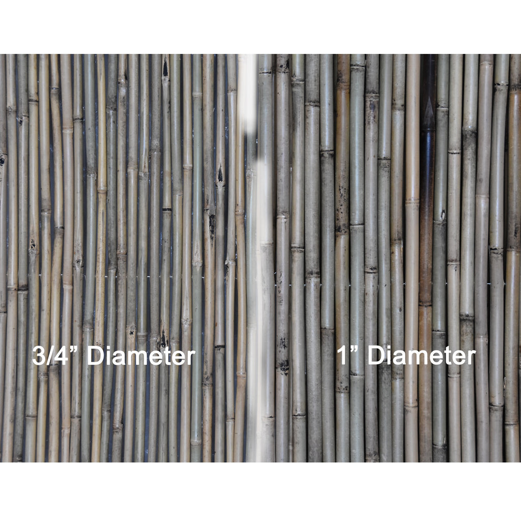 Tonkin Bamboo Fencing - Bamboo Toronto Store