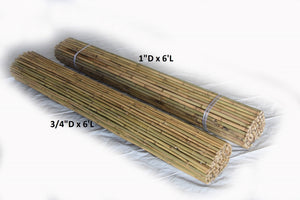 Tonkin Bamboo Fencing - Bamboo Toronto Store