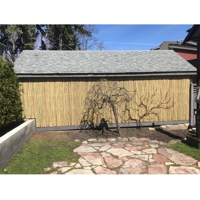 Tonkin Bamboo Fencing - Bamboo Toronto Store