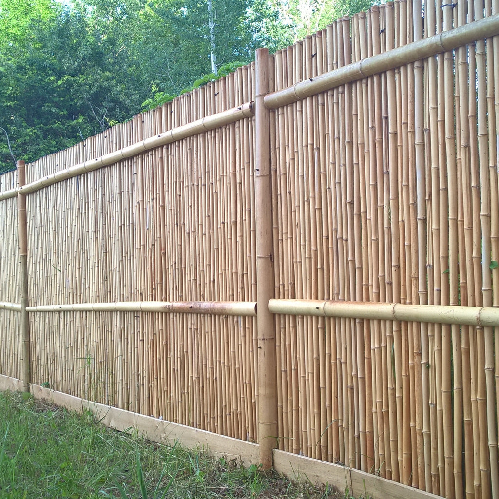 Moso Bamboo Fencing