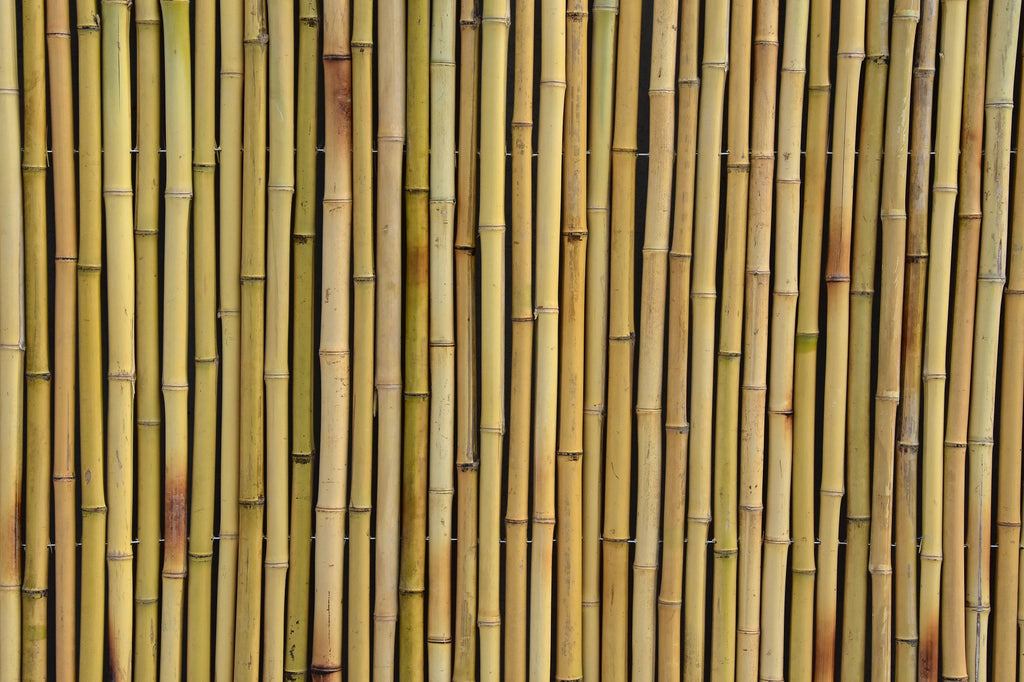 Natural Bamboo Fencing - Bamboo Toronto Store