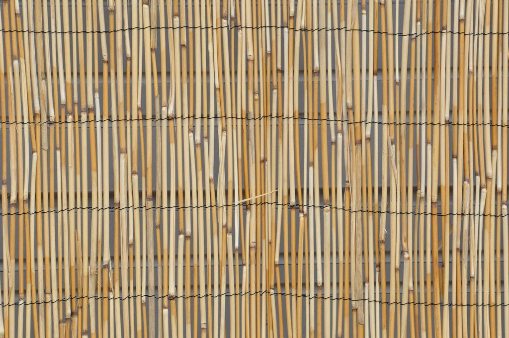 Reed Fencing - Bamboo Toronto Store