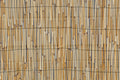 Reed Fencing - Bamboo Toronto Store
