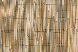 Reed Fencing - Bamboo Toronto Store