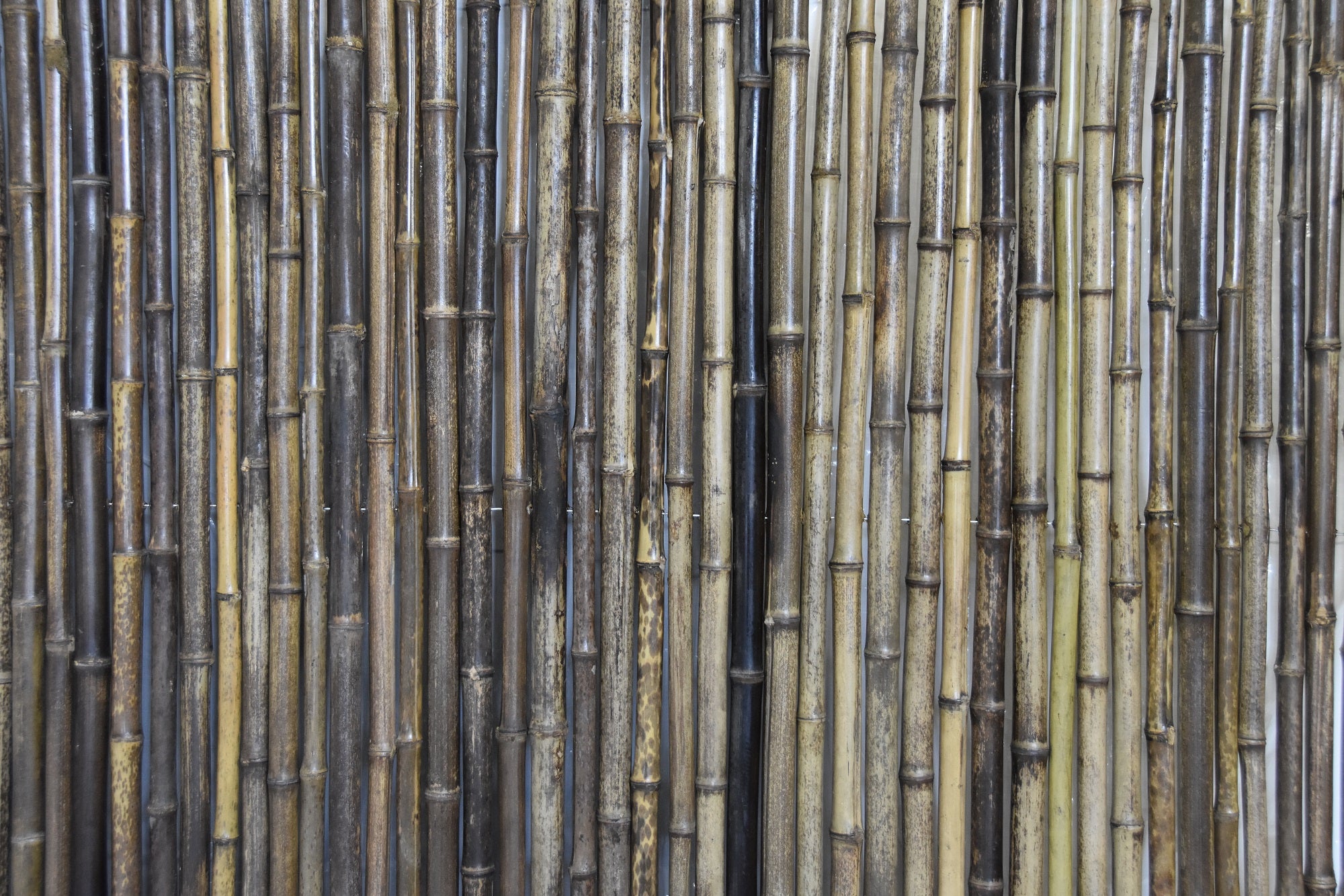 Dark Brown Bamboo Fence - Bamboo Toronto Store