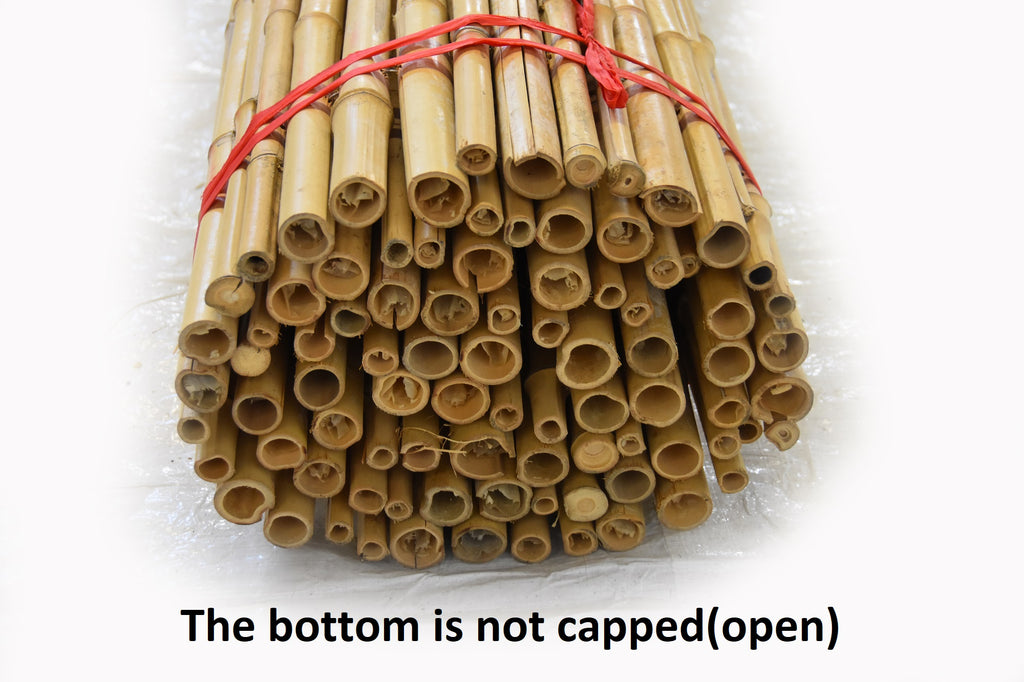 Natural Bamboo Fencing - Bamboo Toronto Store