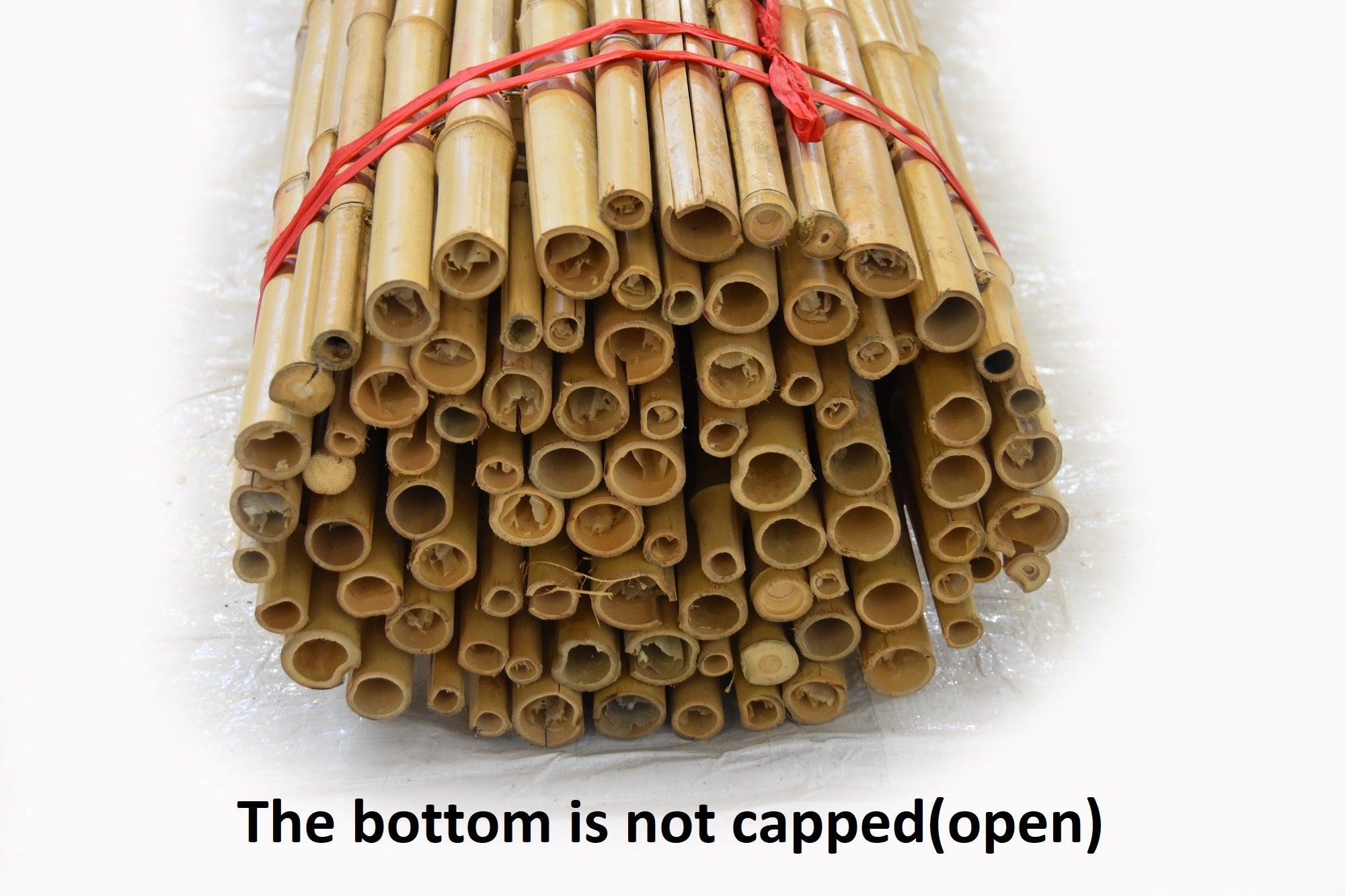 Natural Bamboo Fencing - Bamboo Toronto Store