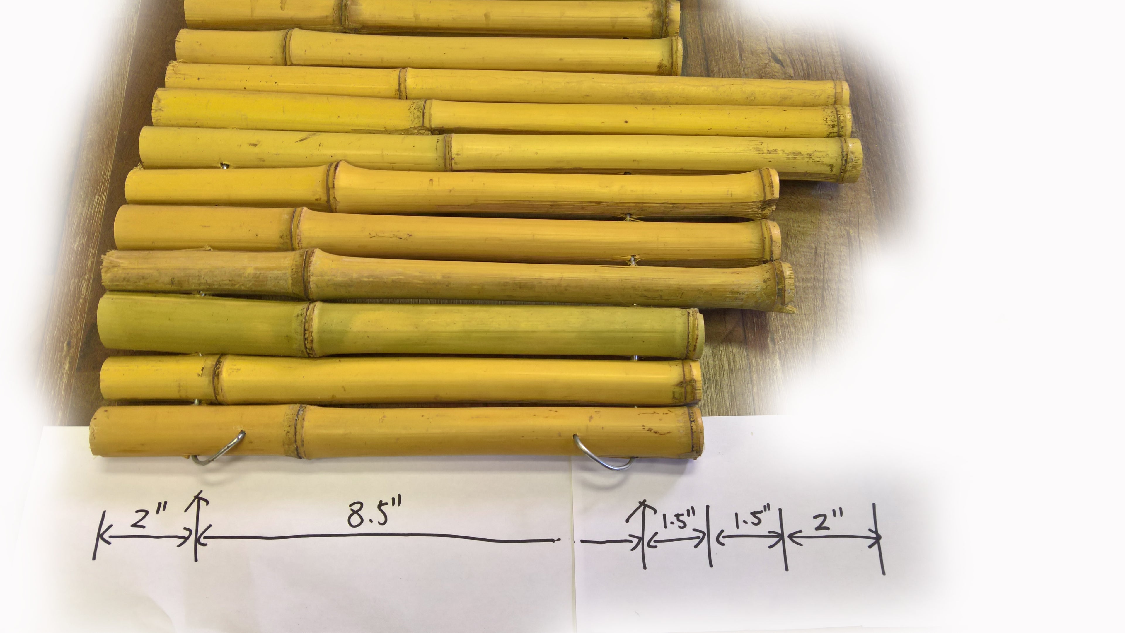 Bamboo Garden Edge - Bamboo Toronto Store