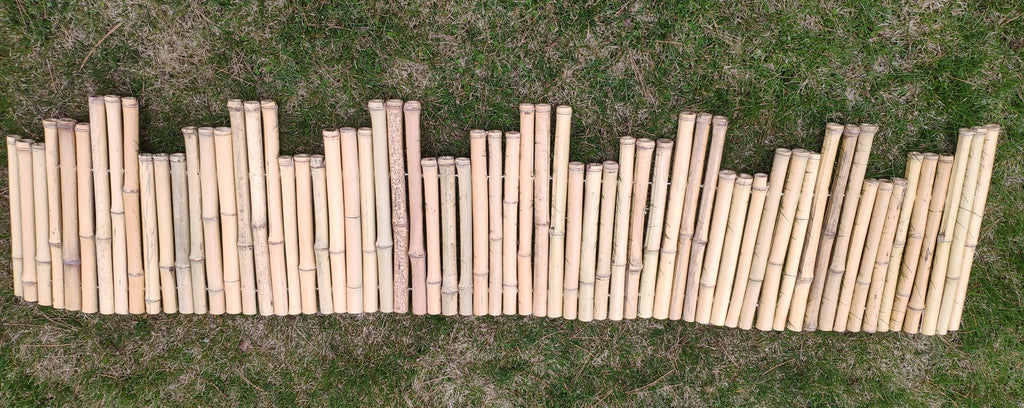 Bamboo Garden Edge - Bamboo Toronto Store