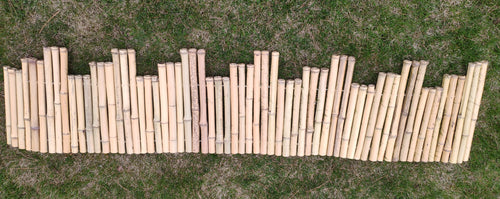 Bamboo Garden Edge - Bamboo Toronto Store