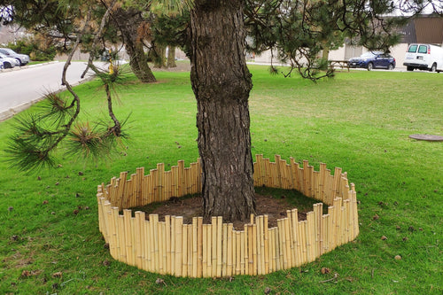 Bamboo Garden Edge - Bamboo Toronto Store