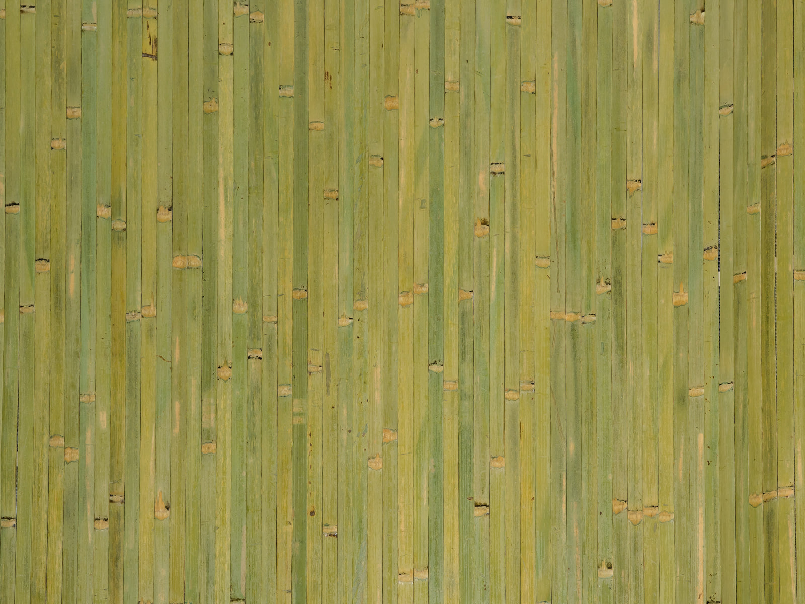 Bamboo Wall Paneling Bamboo Toronto Store
