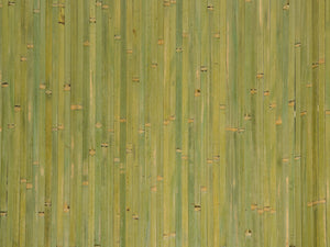Bamboo Wall Paneling - Bamboo Toronto Store