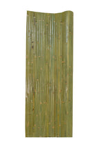 Bamboo Wall Paneling - Bamboo Toronto Store