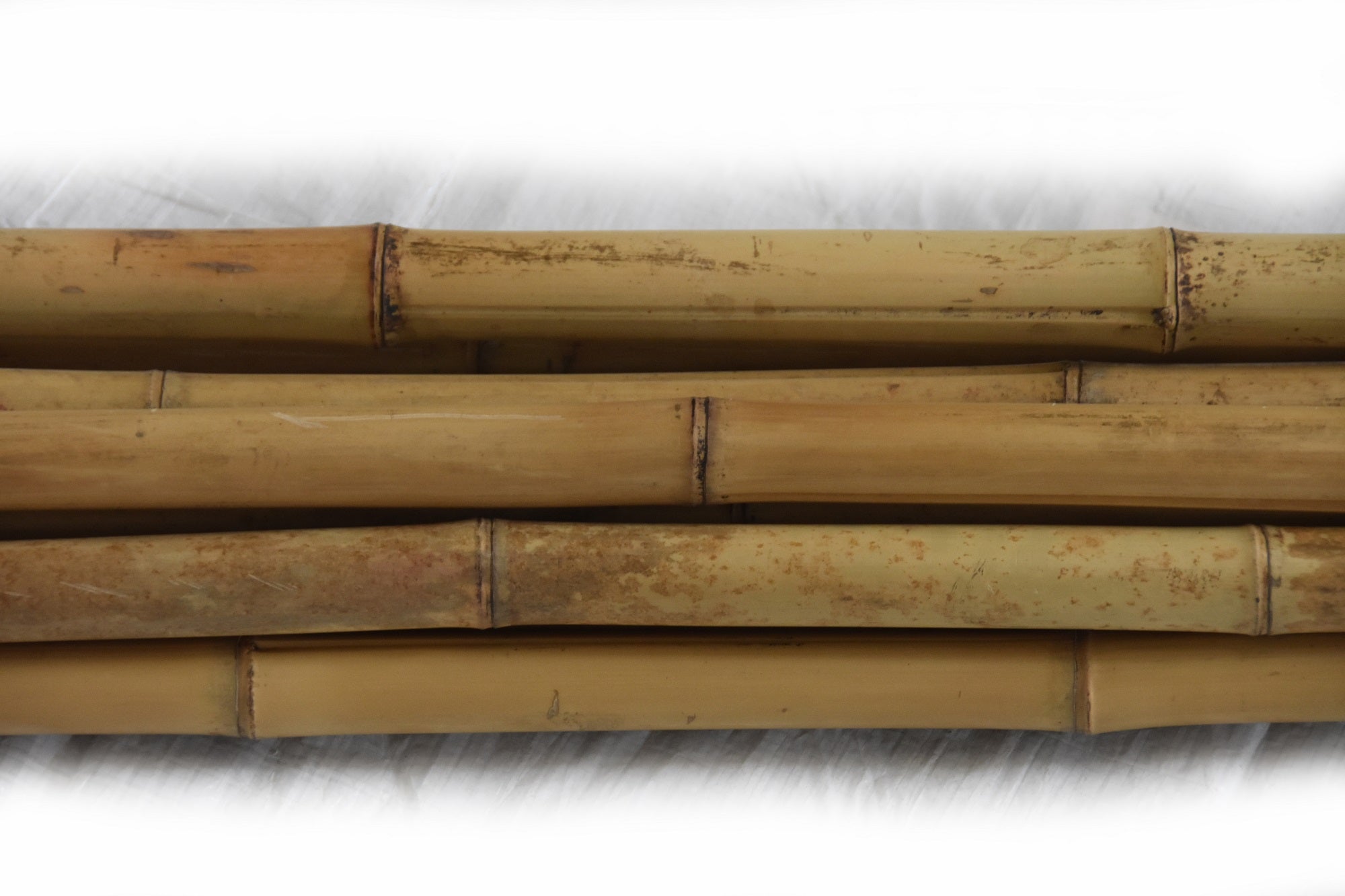 Moso Bamboo Pole 1.5"D x 10'L - Bamboo Toronto Store