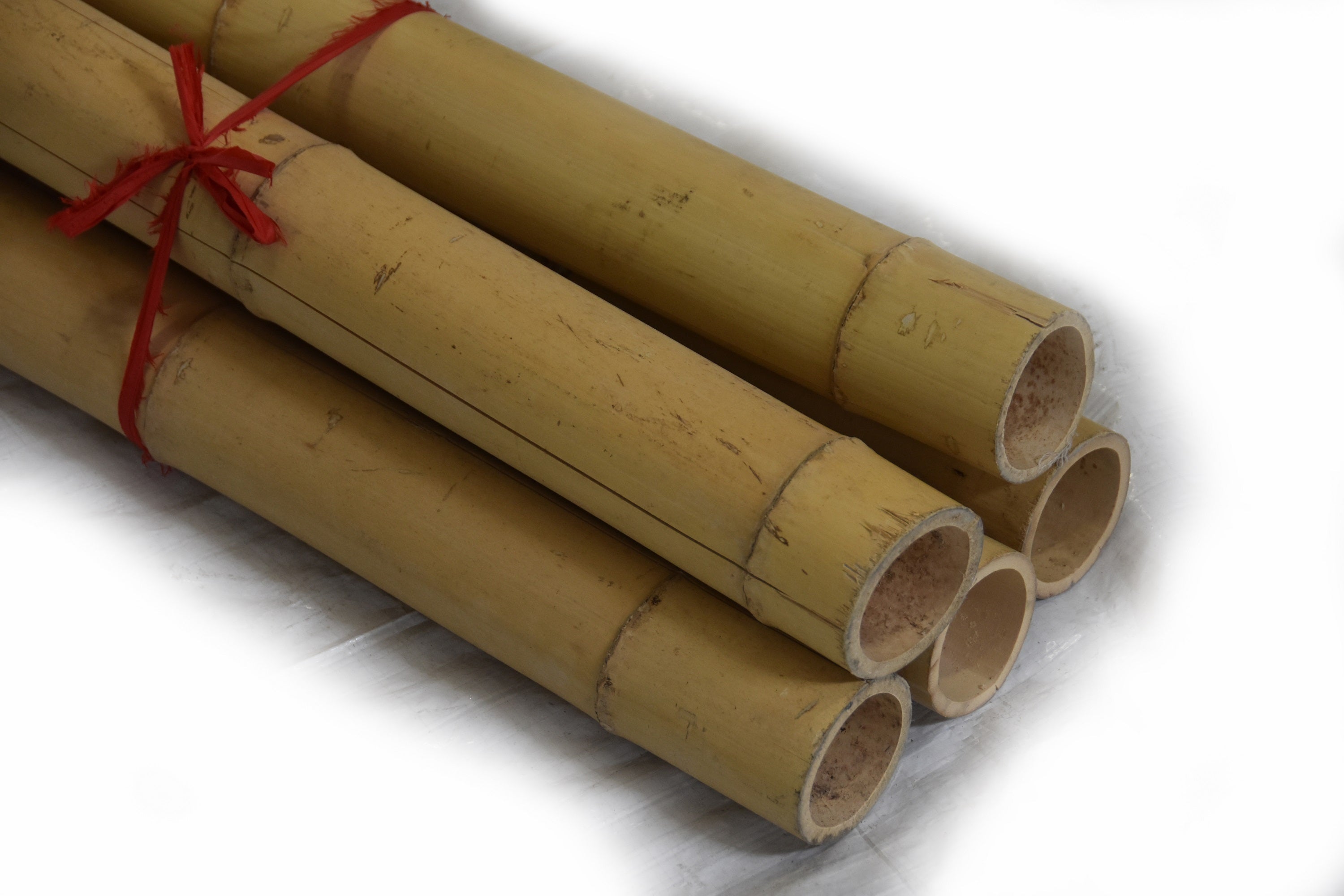 Moso Bamboo Pole 3"D X 10'L - Single Pole - Bamboo Toronto Store