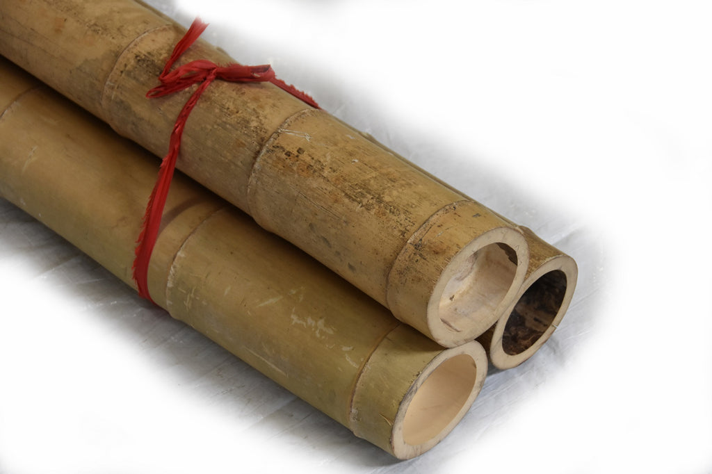 Moso Bamboo Pole 4"D x 10'L - Bundle - Bamboo Toronto Store