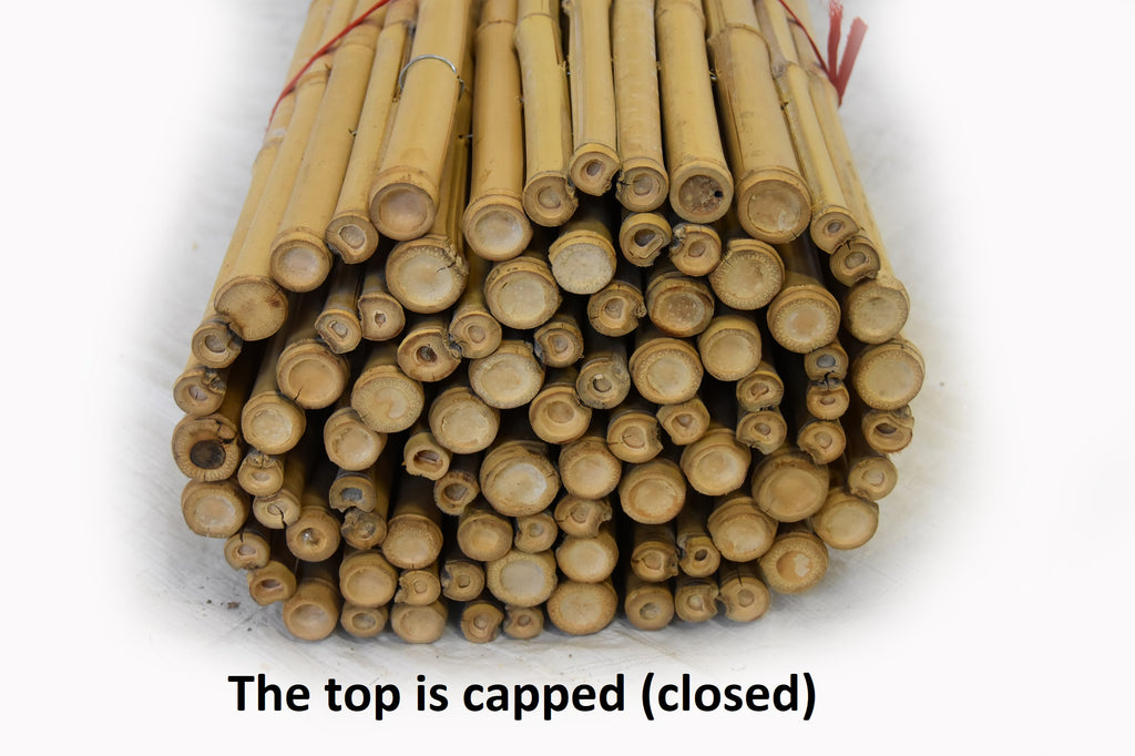 Natural Bamboo Fencing - Bamboo Toronto Store