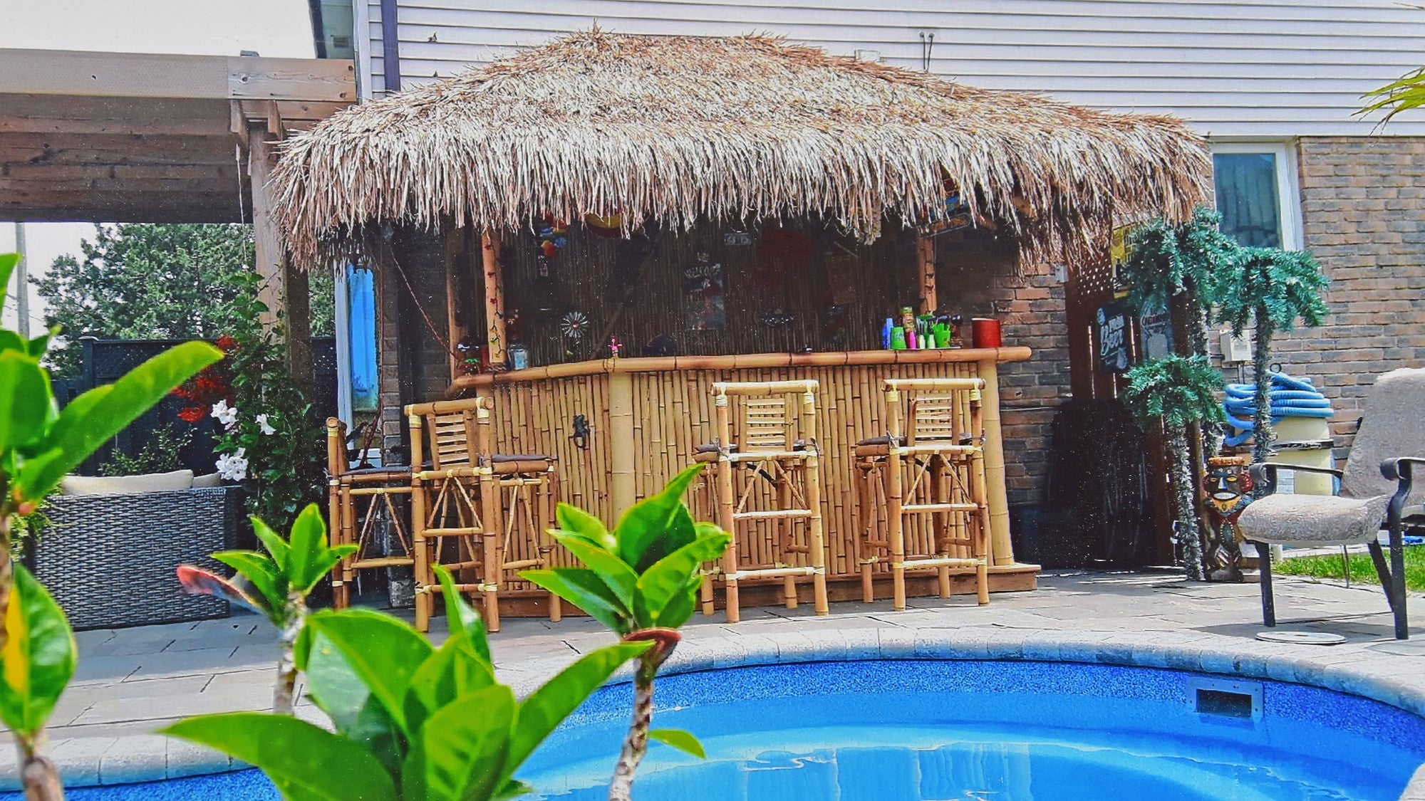 Mexican Palm Leaf Thatch Roofing - Bamboo Toronto Store