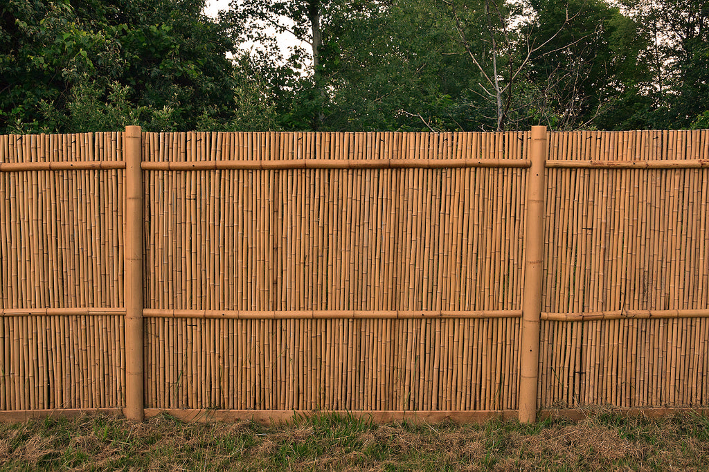 Natural Bamboo Fencing - Bamboo Toronto Store