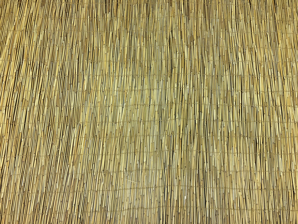 Reed Fencing - Bamboo Toronto Store