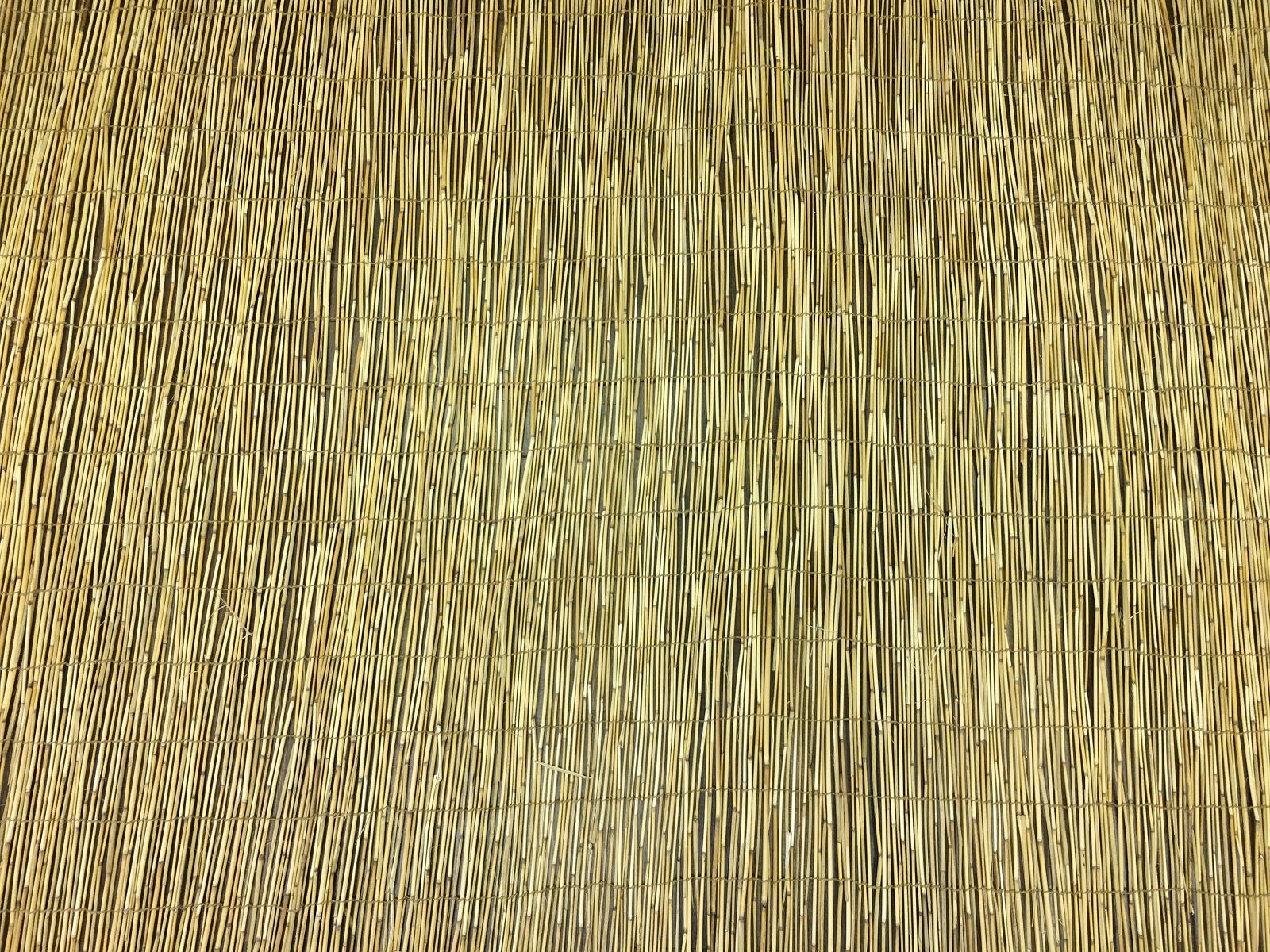 Reed Fencing - Bamboo Toronto Store