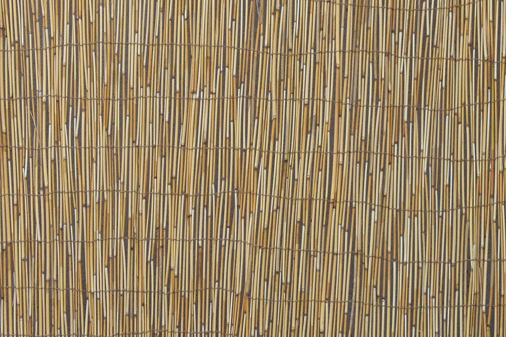Reed Fencing - Bamboo Toronto Store