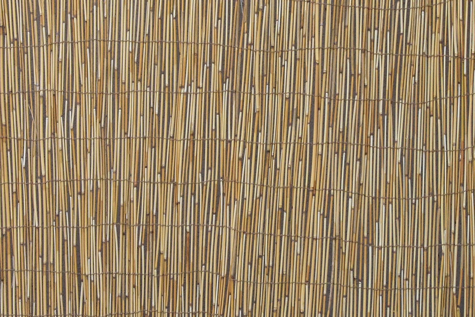 Reed Fencing | Bamboo Toronto Store