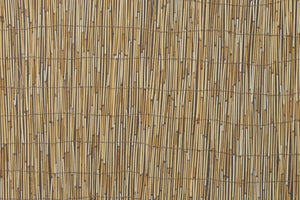 Reed Fencing - Bamboo Toronto Store