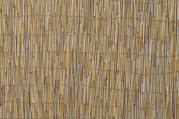 Reed Fencing | Bamboo Toronto Store