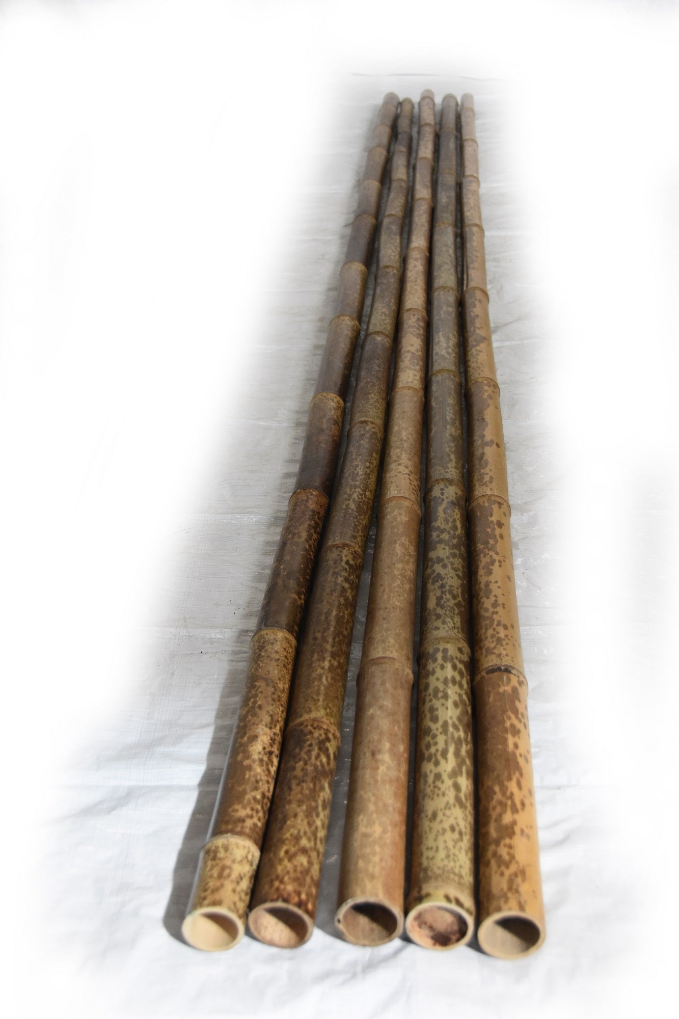 Brown Speckled Bamboo Poles 2"D x 10'L - Bamboo Toronto Store