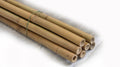 Tonkin Bamboo Pole 2" x 10'L - Bamboo Toronto Store