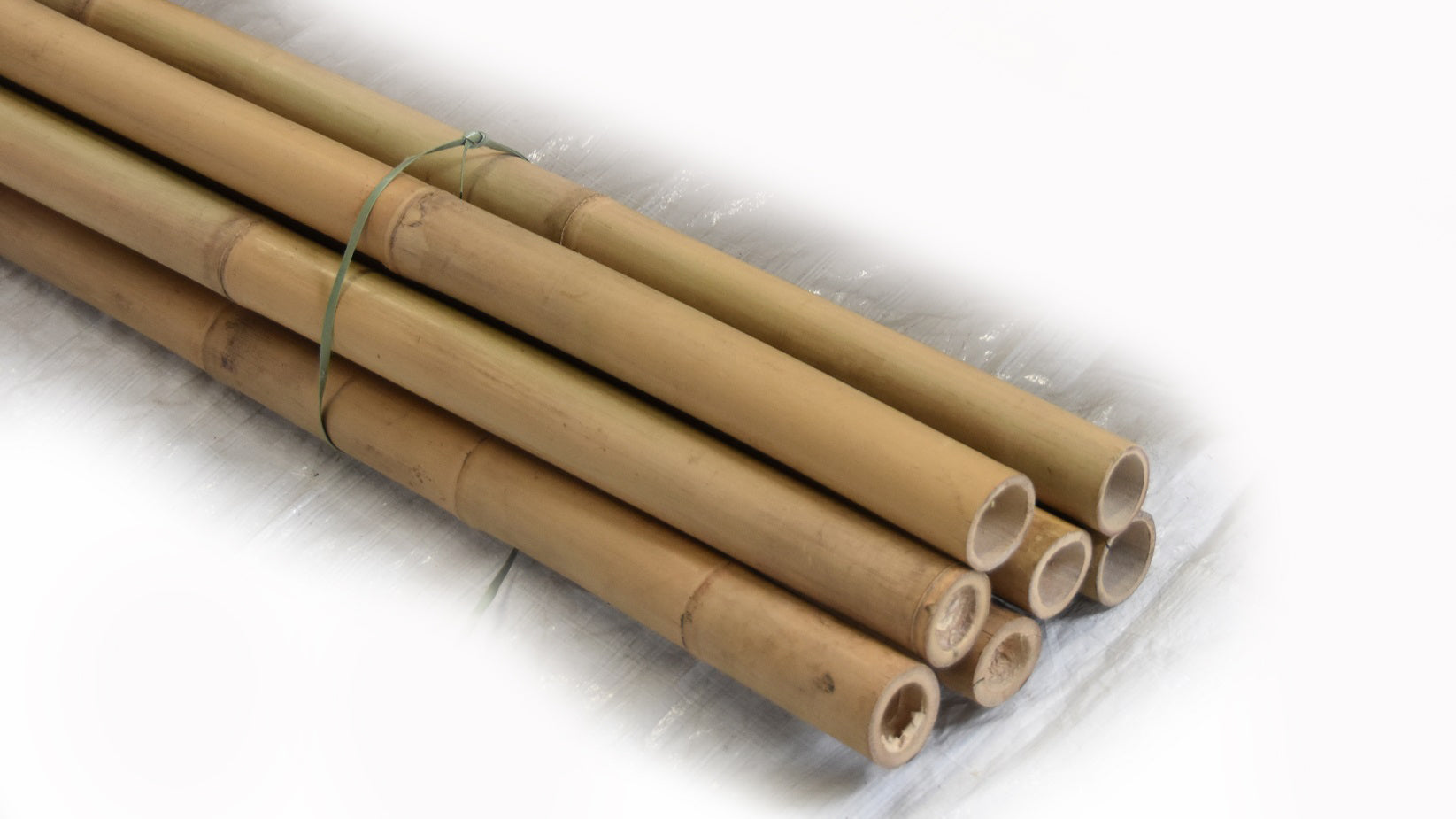 Tonkin Bamboo Pole 2" x 10'L - Bamboo Toronto Store