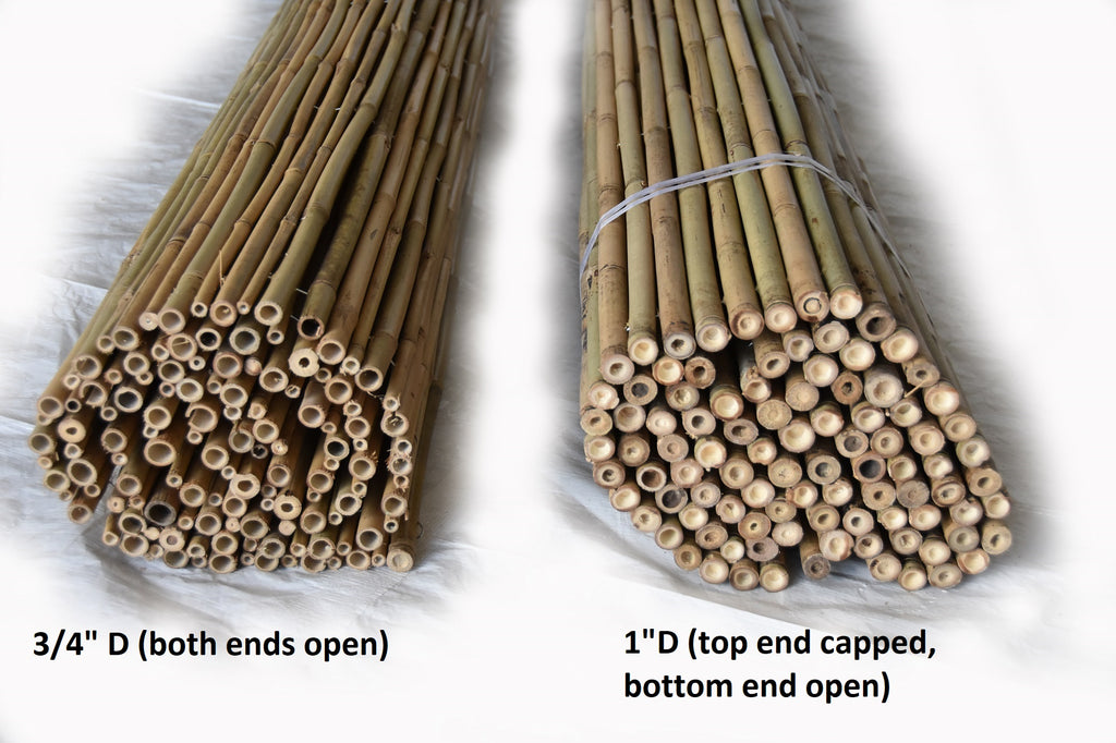 Tonkin Bamboo Fencing - Bamboo Toronto Store
