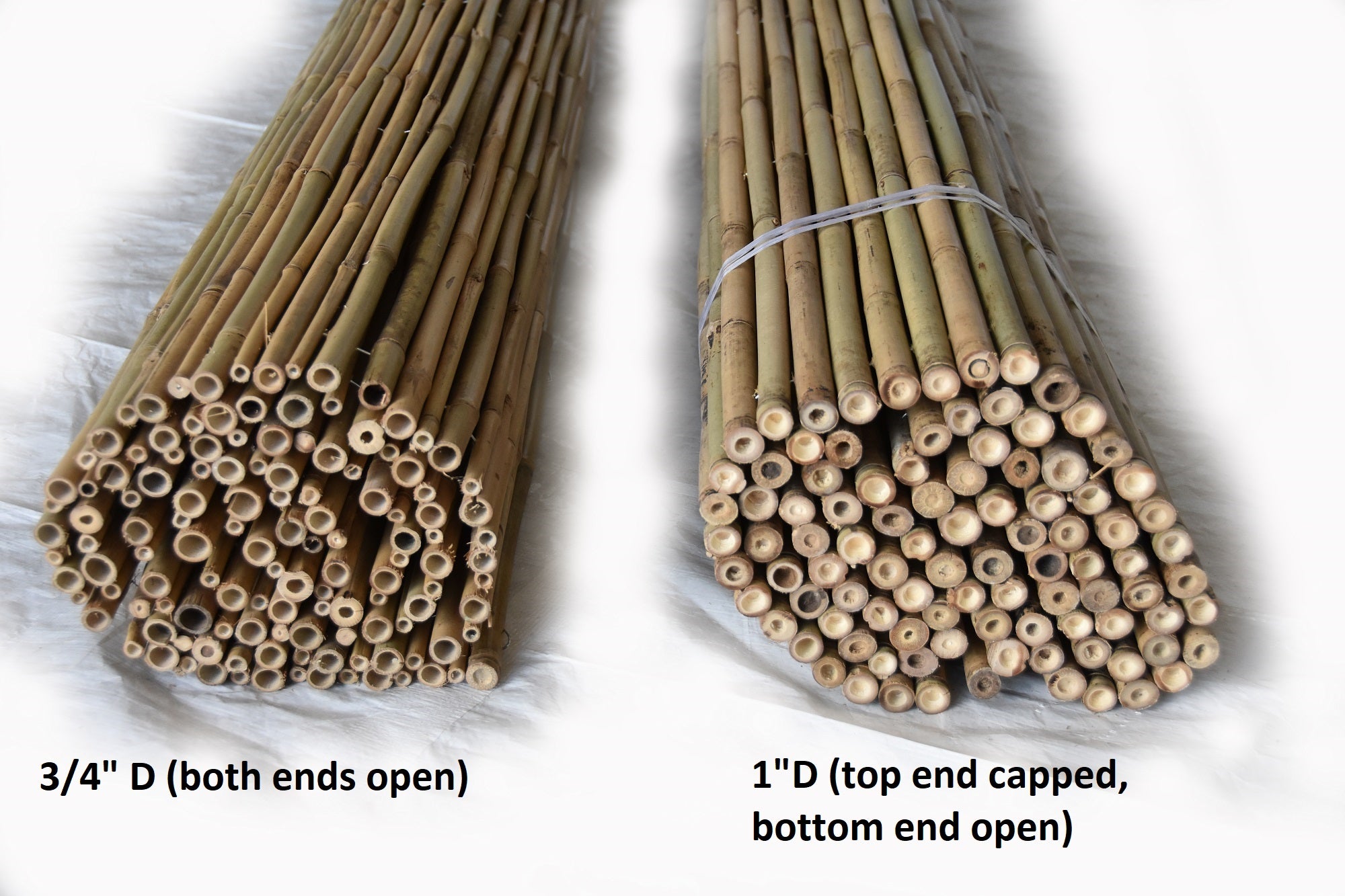 Tonkin Bamboo Fencing - Bamboo Toronto Store