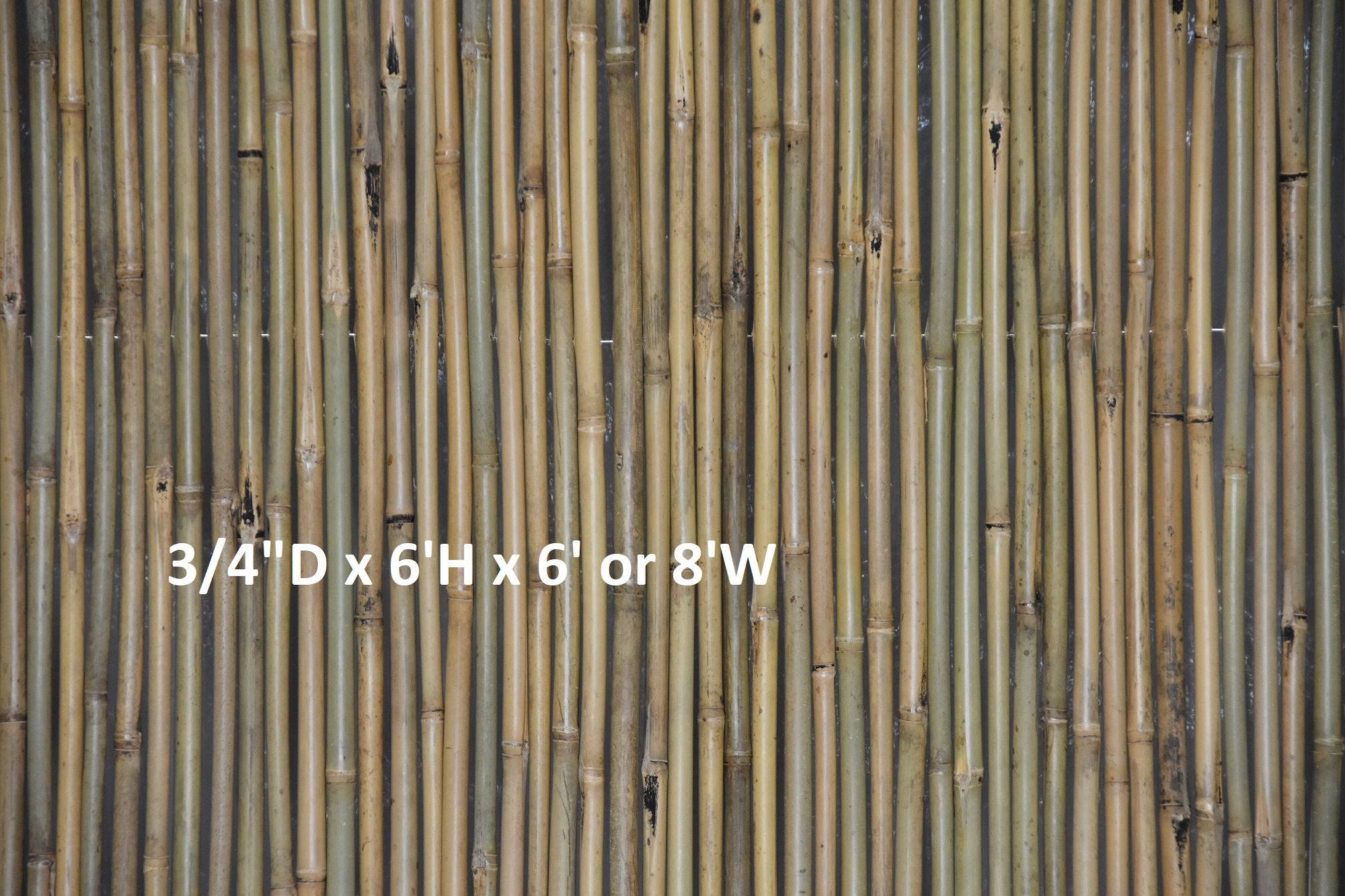 Tonkin Bamboo Fencing - Bamboo Toronto Store