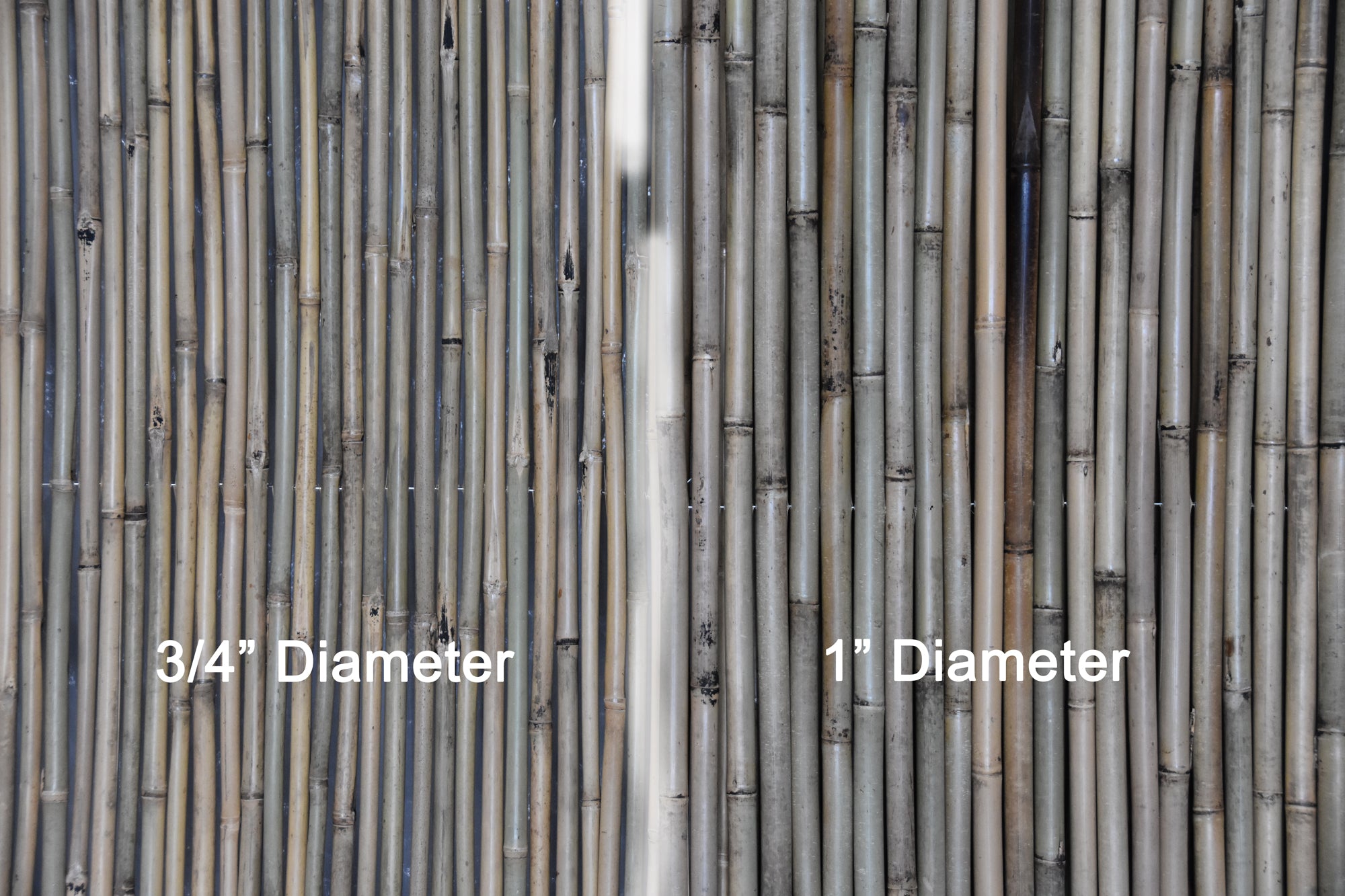 Tonkin Bamboo Fencing - Bamboo Toronto Store